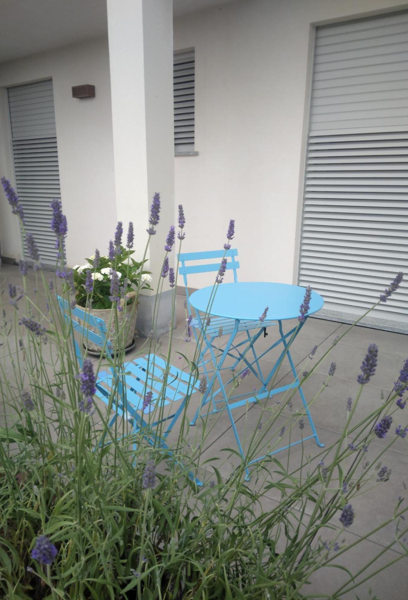 Cicci House Διαμέρισμα Άλμπα Εξωτερικό φωτογραφία